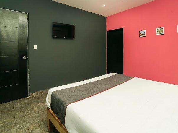 Hotel Adhoc Plaza Monterrey Exterior foto